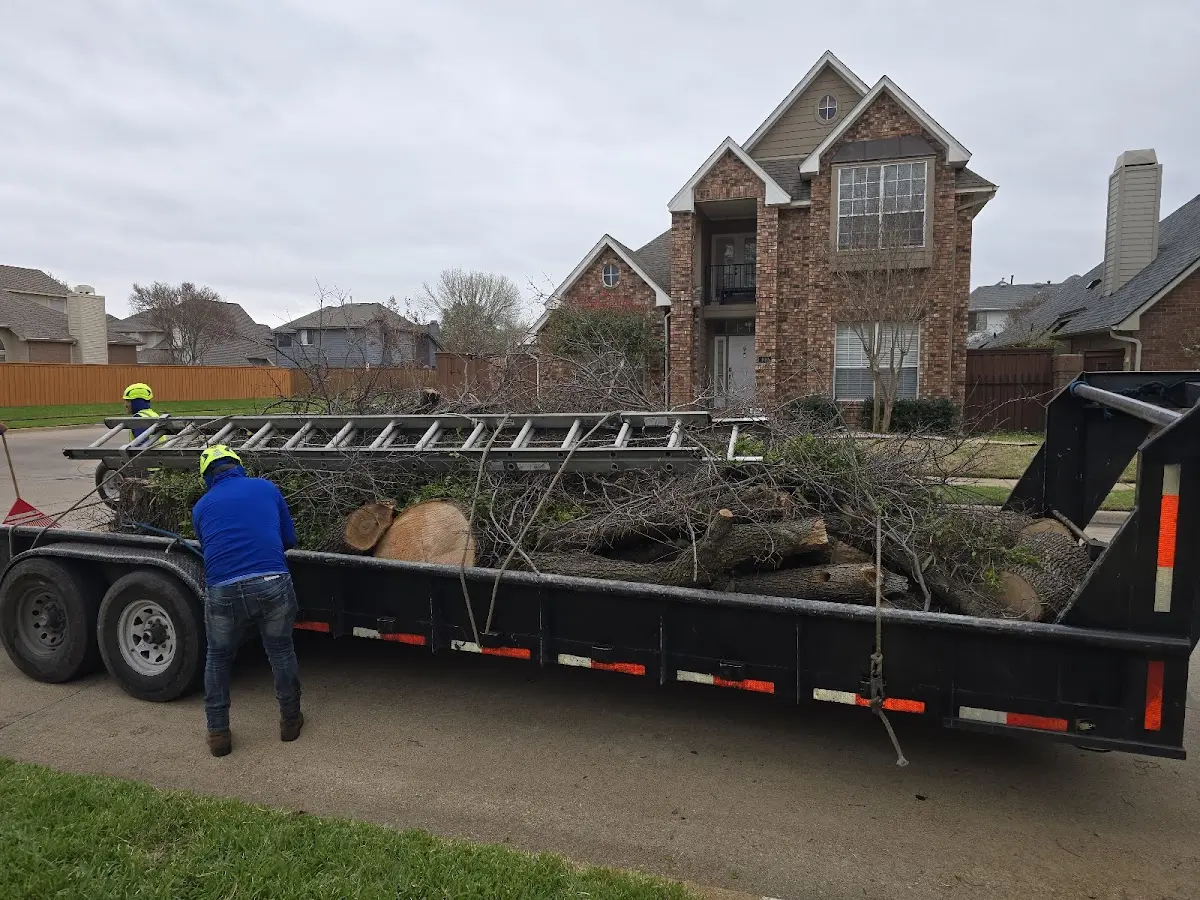 Expert Tree Fertilization with proper safety equipment in Boron